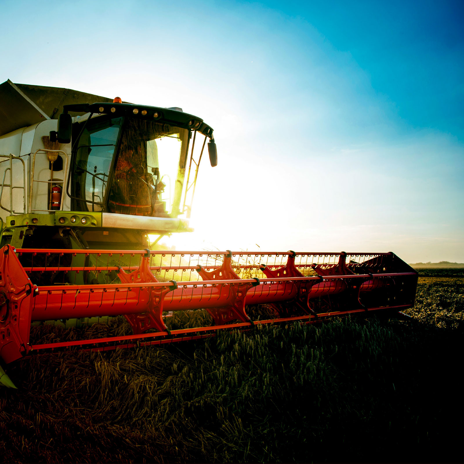 Landwirtschaft-Kraftwerke-Windenergie